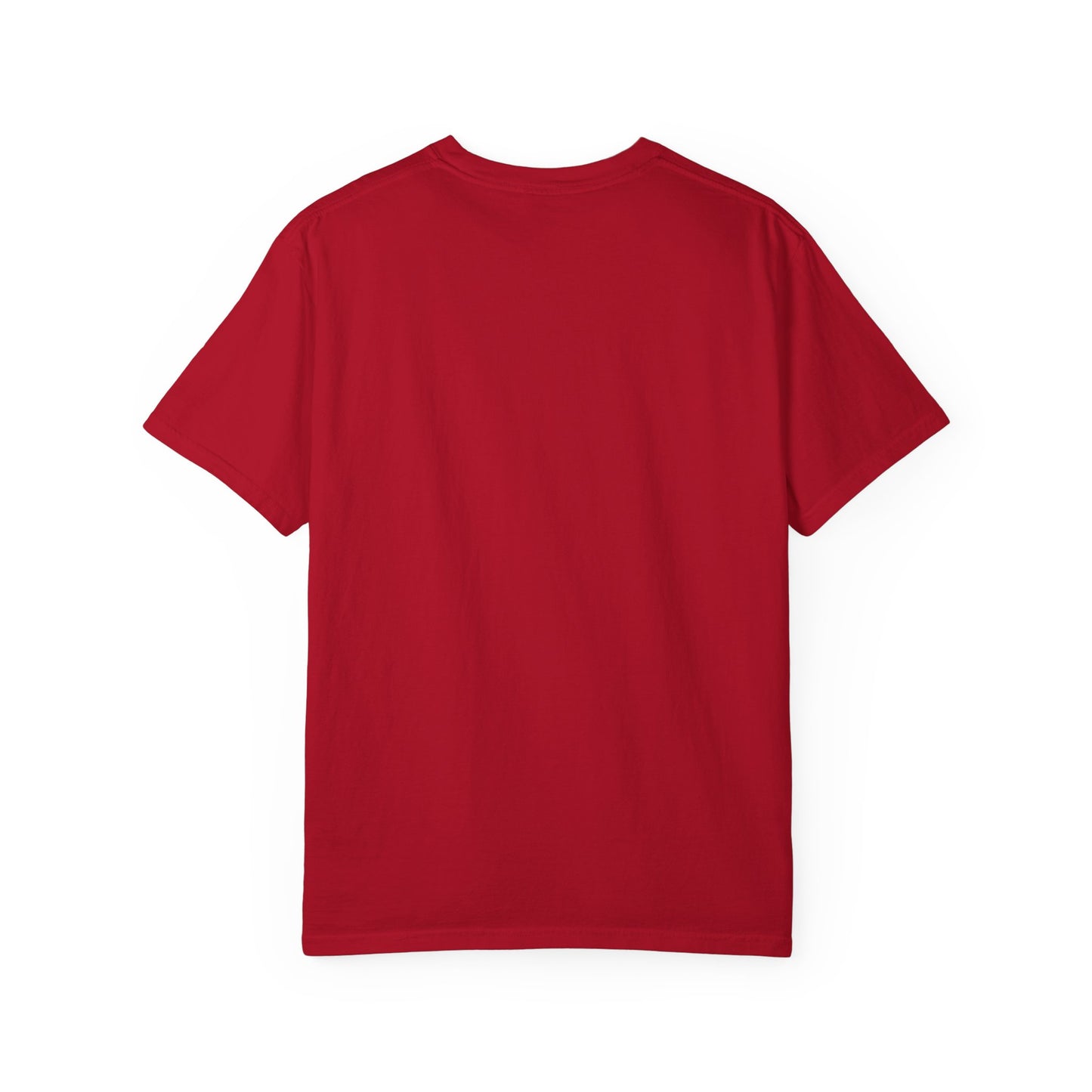 Live 4 The King! Unisex Garment-Dyed T-Shirt - Casual Spiritual Tee
